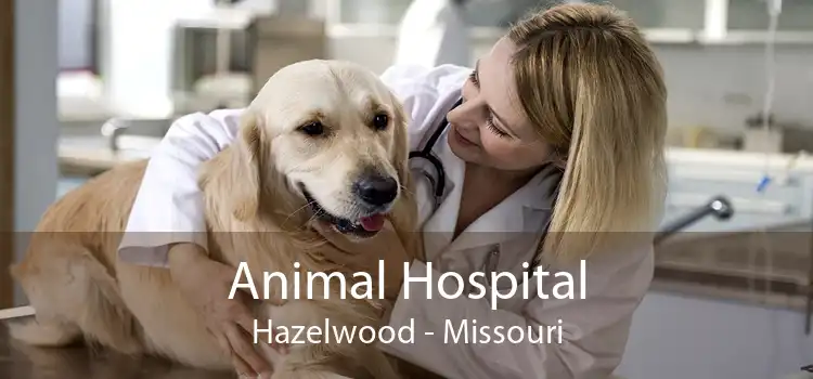 Animal Hospital Hazelwood - Missouri