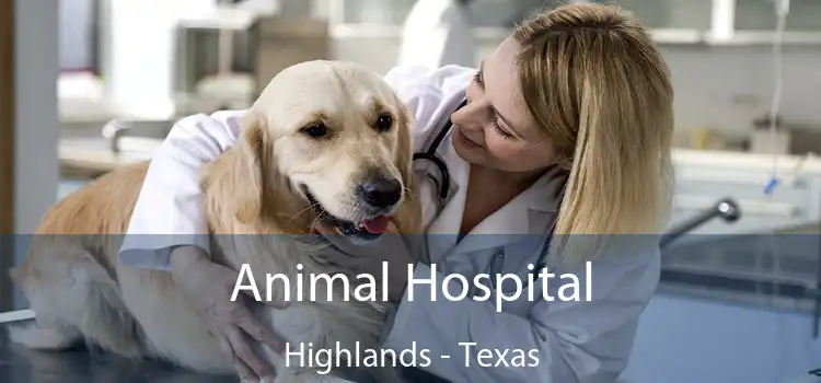 Animal Hospital Highlands - Texas