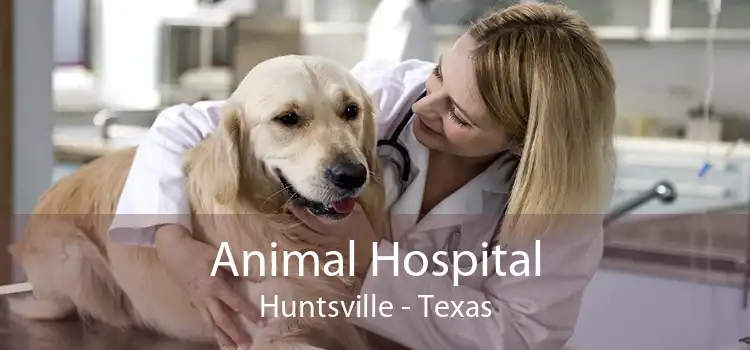 Animal Hospital Huntsville - Texas