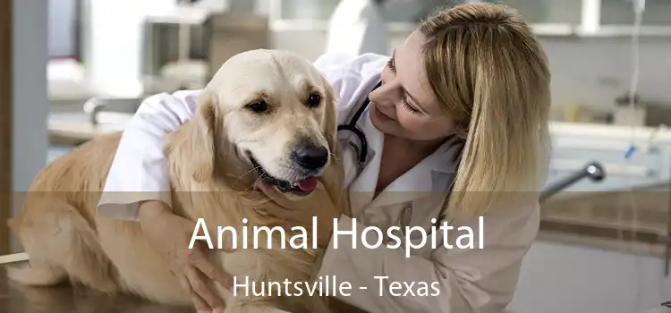 Animal Hospital Huntsville - Texas