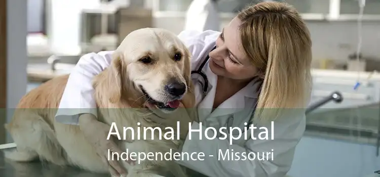 Animal Hospital Independence - Missouri