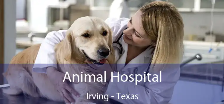 Animal Hospital Irving - Texas