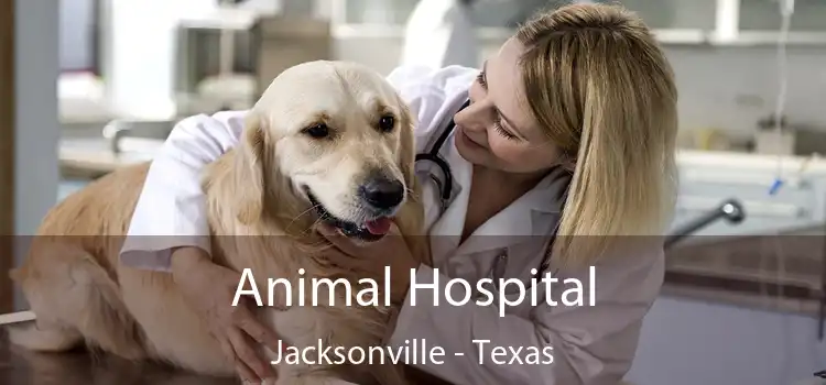 Animal Hospital Jacksonville - Texas