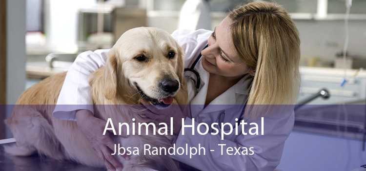 Animal Hospital Jbsa Randolph - Texas