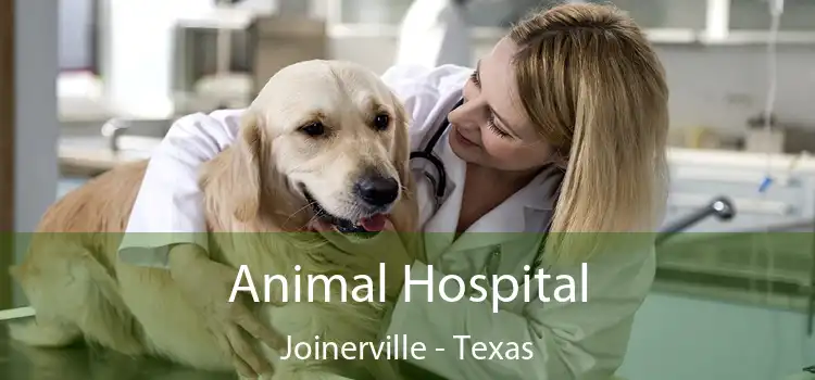 Animal Hospital Joinerville - Texas