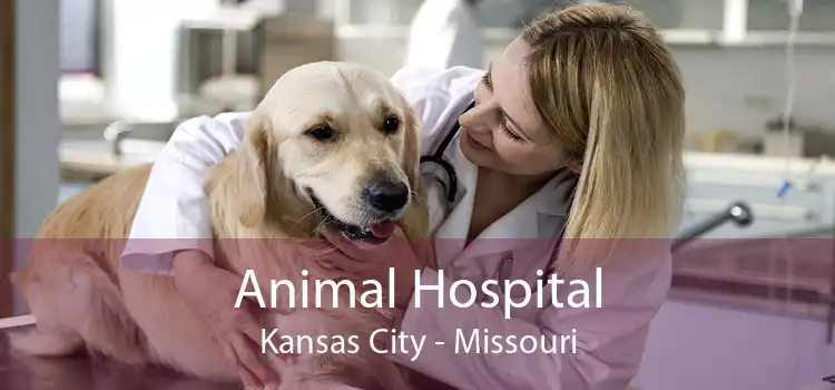 Animal Hospital Kansas City - Missouri