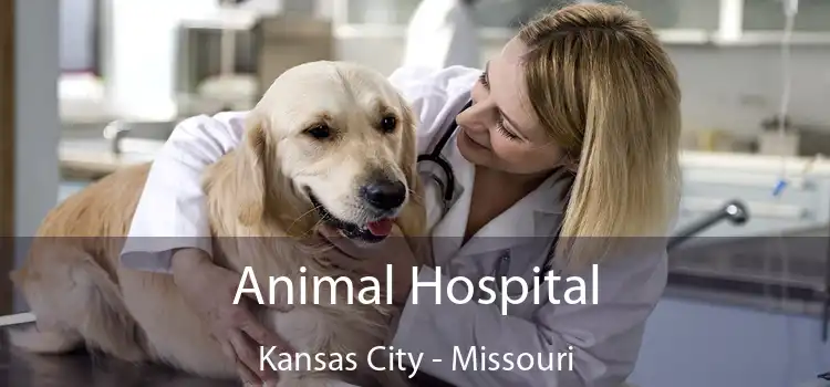 Animal Hospital Kansas City - Missouri