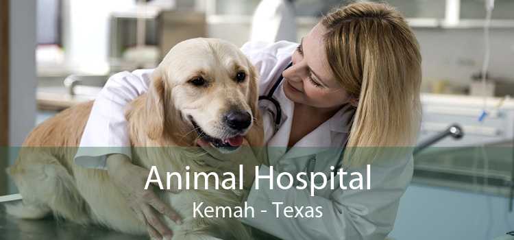 Animal Hospital Kemah - Texas