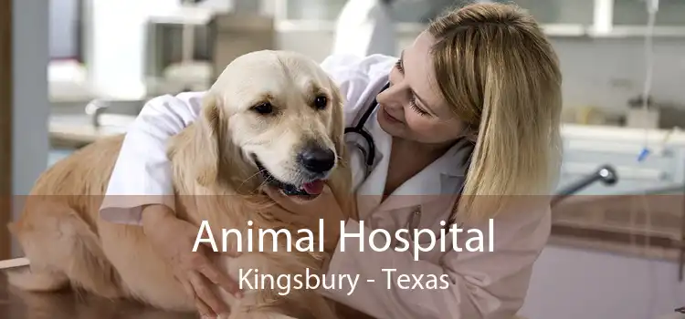 Animal Hospital Kingsbury - Texas