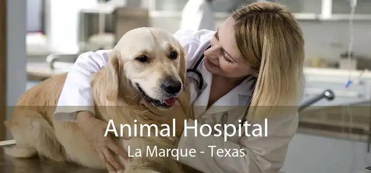 Animal Hospital La Marque - Texas