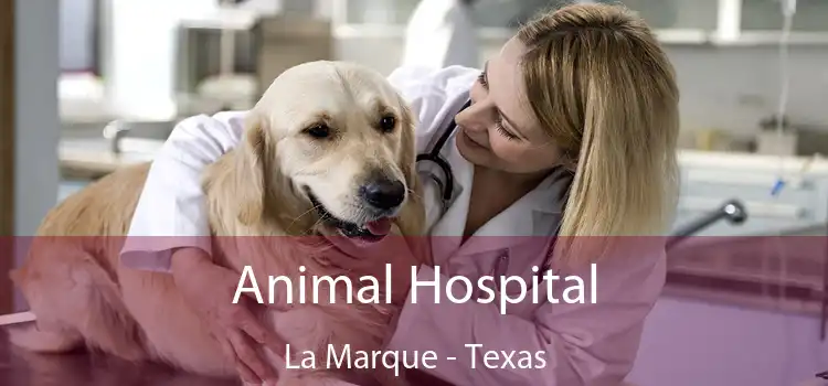 Animal Hospital La Marque - Texas