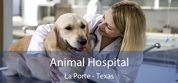 Animal Hospital La Porte - Texas