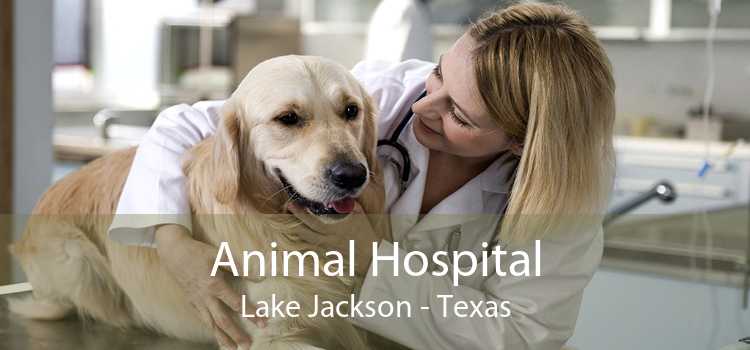 Animal Hospital Lake Jackson - Texas