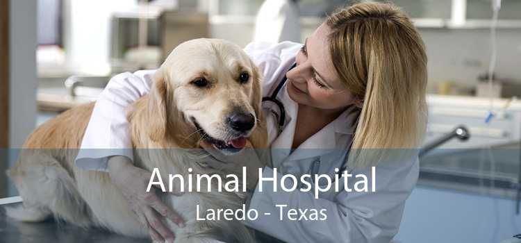 Animal Hospital Laredo - Texas