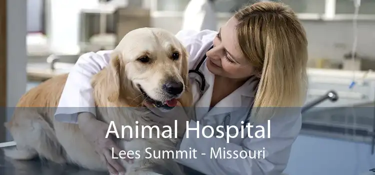 Animal Hospital Lees Summit - Missouri