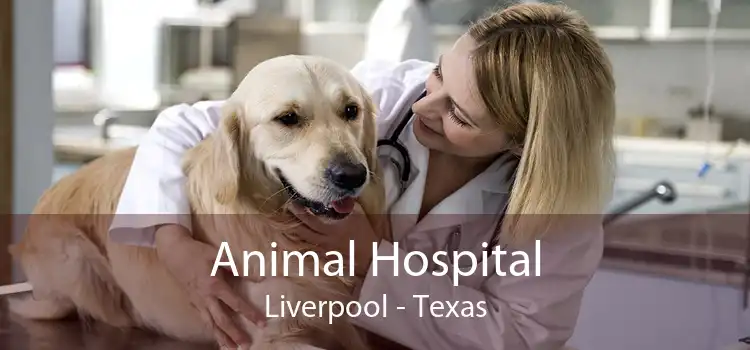 Animal Hospital Liverpool - Texas
