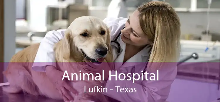 Animal Hospital Lufkin - Texas