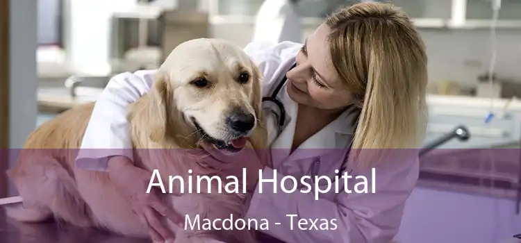 Animal Hospital Macdona - Texas