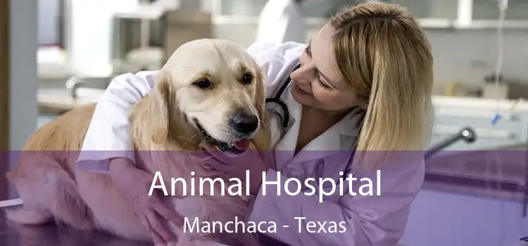 Animal Hospital Manchaca - Texas