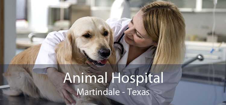 Animal Hospital Martindale - Texas