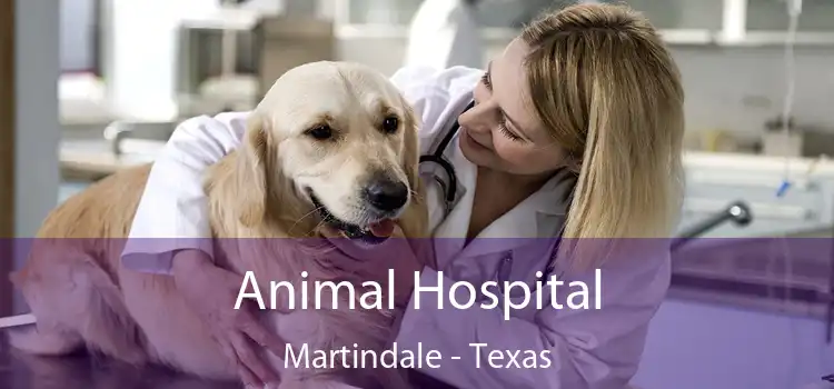 Animal Hospital Martindale - Texas