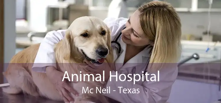 Animal Hospital Mc Neil - Texas