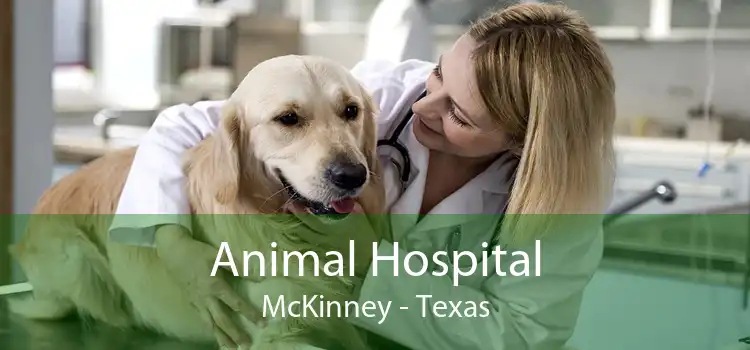 Animal Hospital McKinney - Texas