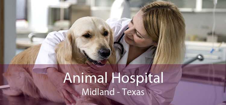 Animal Hospital Midland - Texas