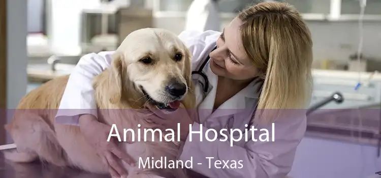 Animal Hospital Midland - Texas