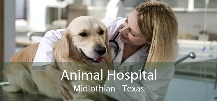 Animal Hospital Midlothian - Texas
