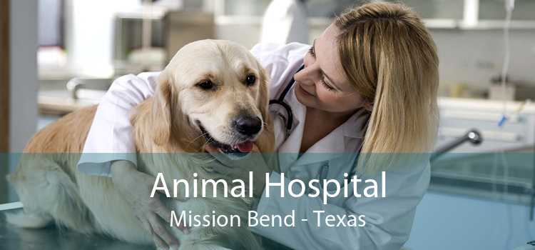 Animal Hospital Mission Bend - Texas