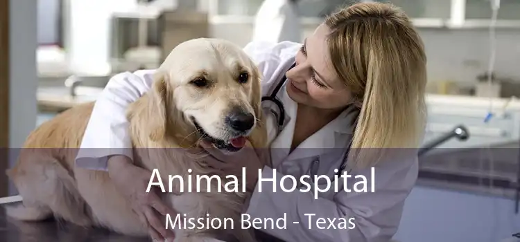 Animal Hospital Mission Bend - Texas