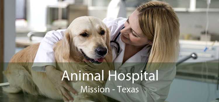 Animal Hospital Mission - Texas