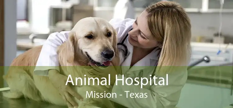 Animal Hospital Mission - Texas