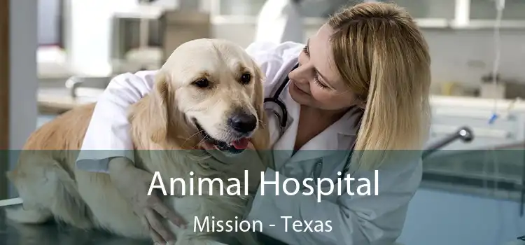 Animal Hospital Mission - Texas