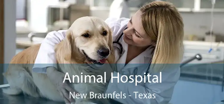 Animal Hospital New Braunfels - Texas