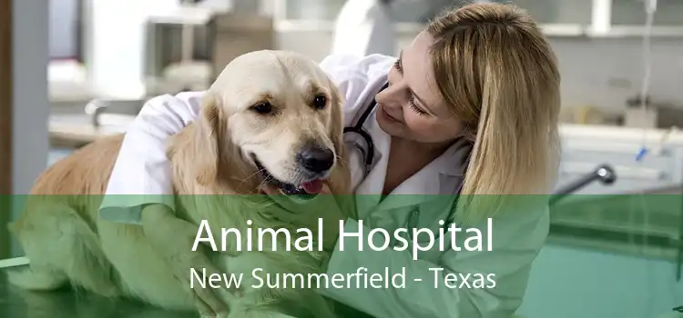 Animal Hospital New Summerfield - Texas