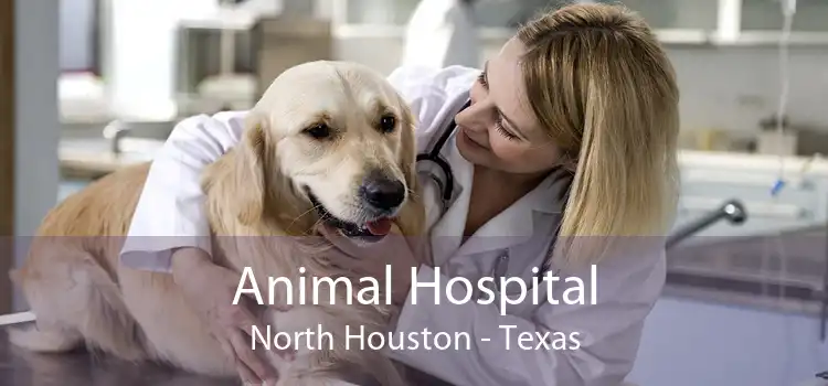 Animal Hospital North Houston - Texas