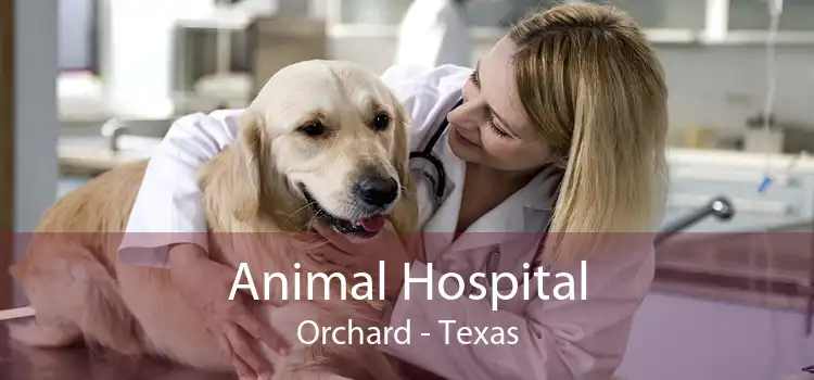Animal Hospital Orchard - Texas