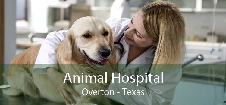 Animal Hospital Overton - Texas
