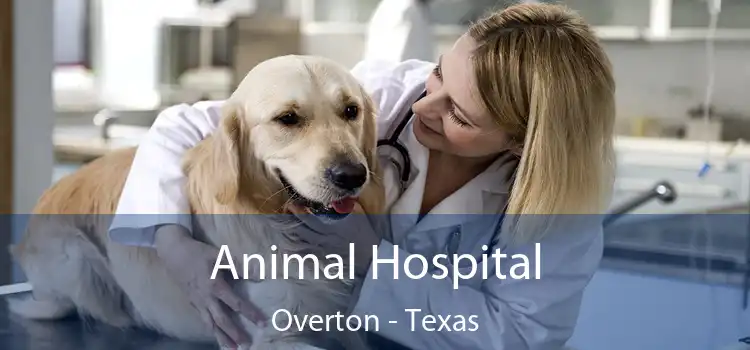 Animal Hospital Overton - Texas