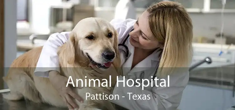 Animal Hospital Pattison - Texas