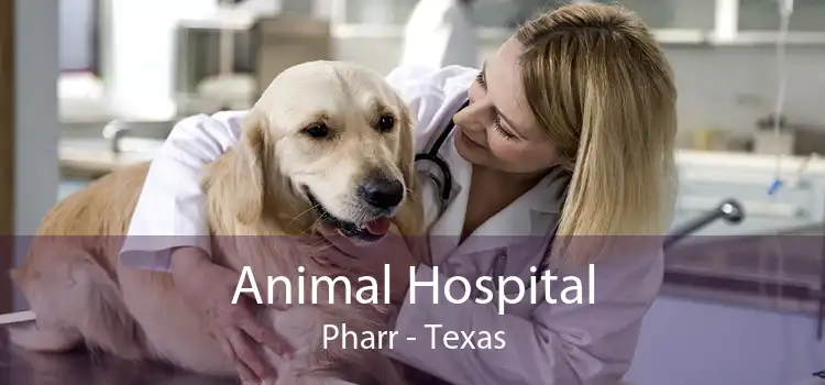 Animal Hospital Pharr - Texas