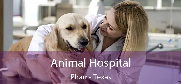 Animal Hospital Pharr - Texas