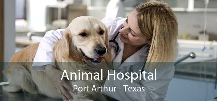 Animal Hospital Port Arthur - Texas