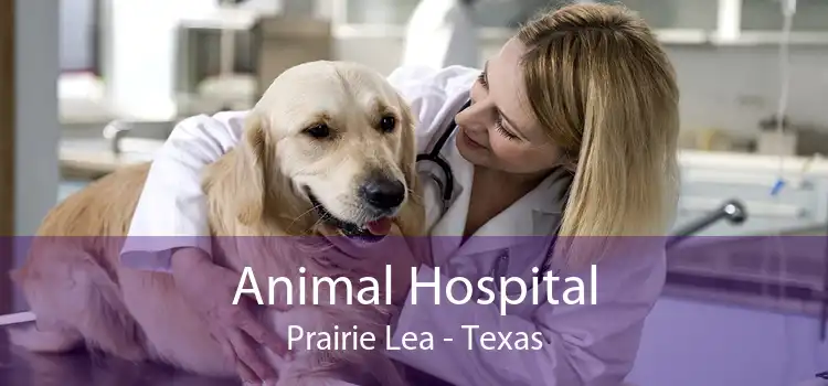 Animal Hospital Prairie Lea - Texas