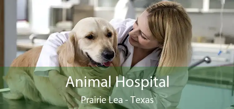 Animal Hospital Prairie Lea - Texas