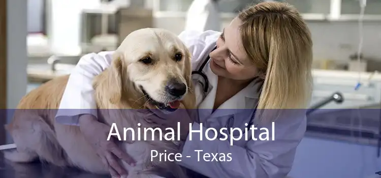 Animal Hospital Price - Texas