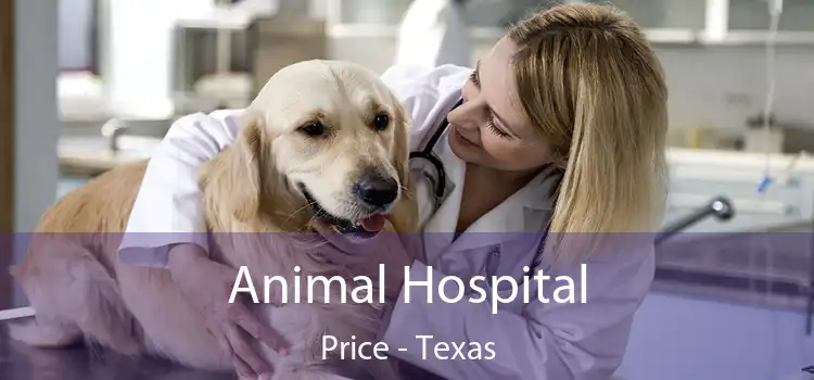 Animal Hospital Price - Texas