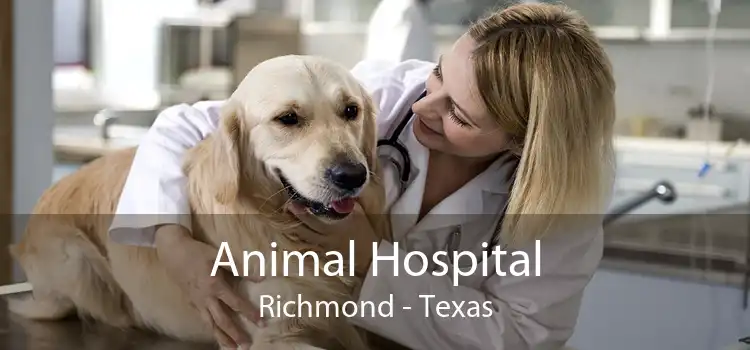 Animal Hospital Richmond - Texas